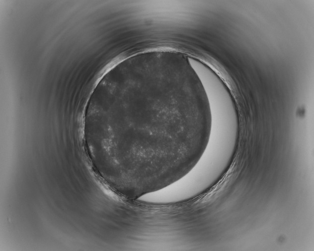 X0000099310858200805231402