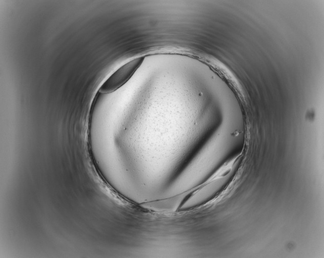 X0000099310860200805231402