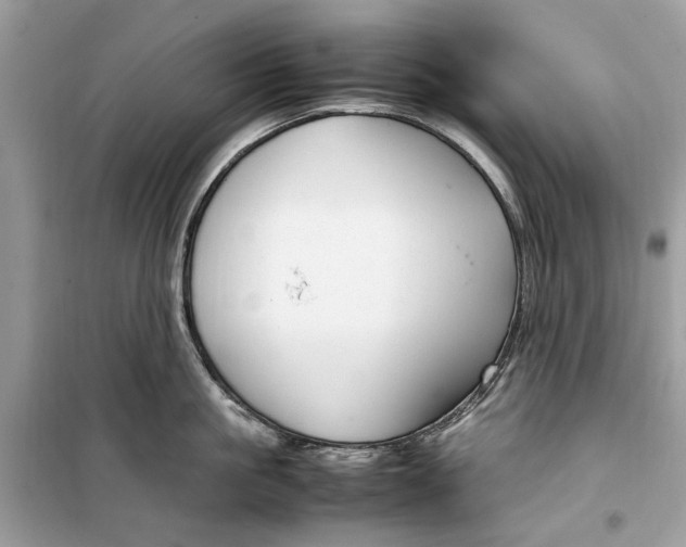 X0000099310861200805231402