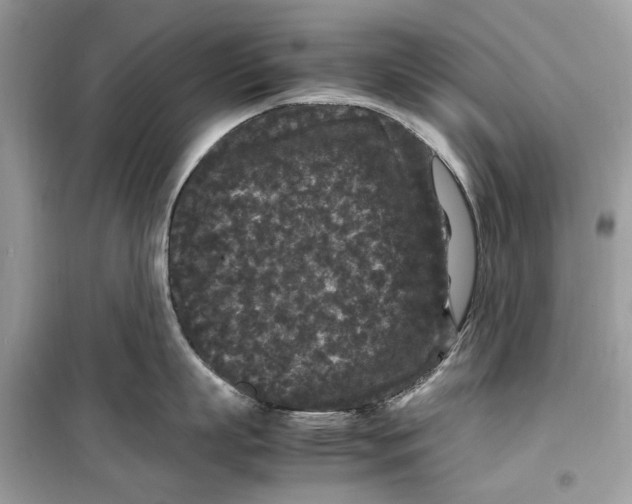 X0000099310863200805231402