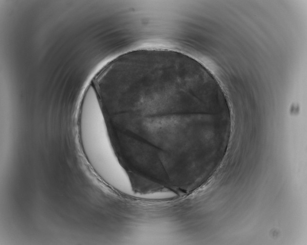 X0000099310864200805231402