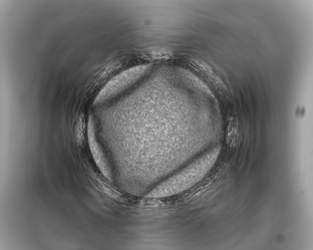 X0000099310866200805231401