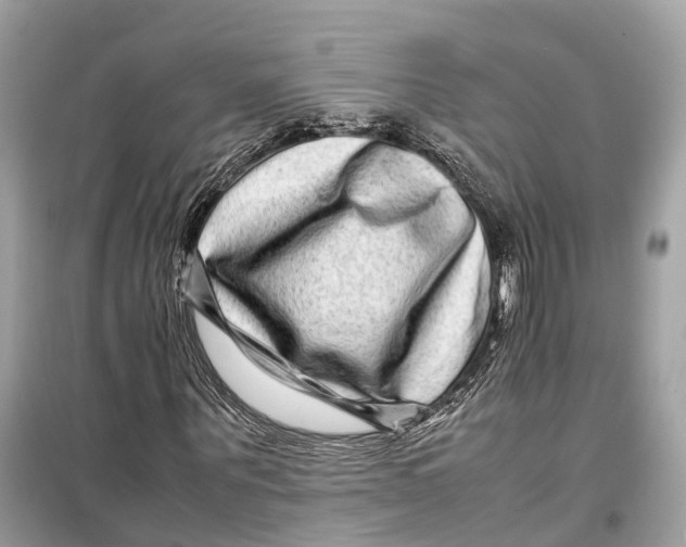 X0000099310867200805231401