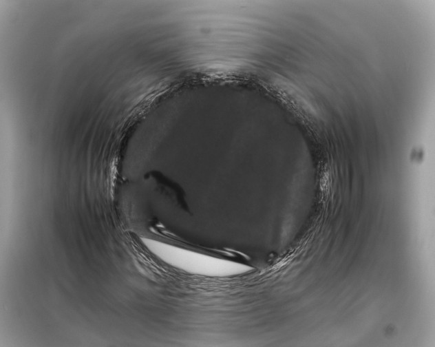 X0000099310868200805231401