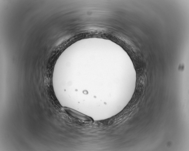 X0000099310869200805231401