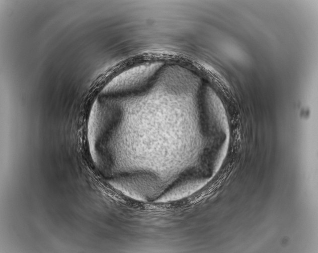 X0000099310870200805231401