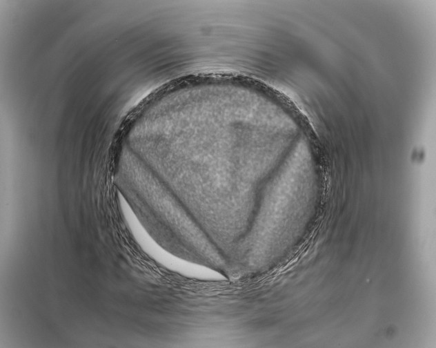 X0000099310871200805231401