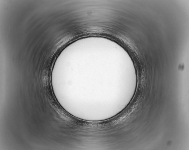 X0000099310873200805231401