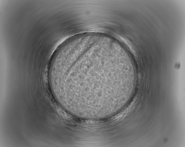 X0000099310875200805231401