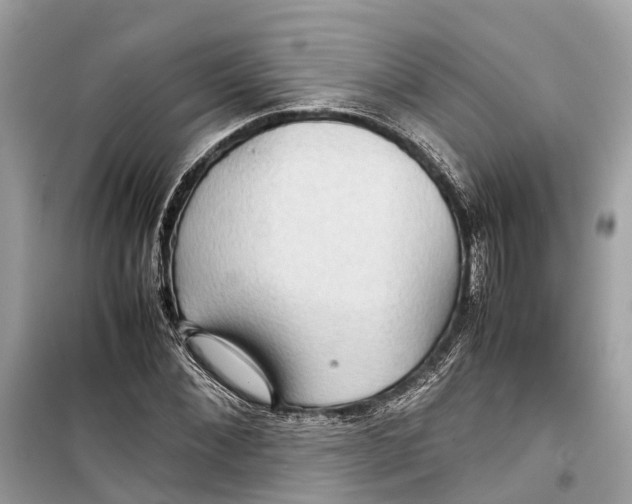 X0000099310876200805231401