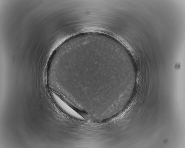 X0000099310877200805231401