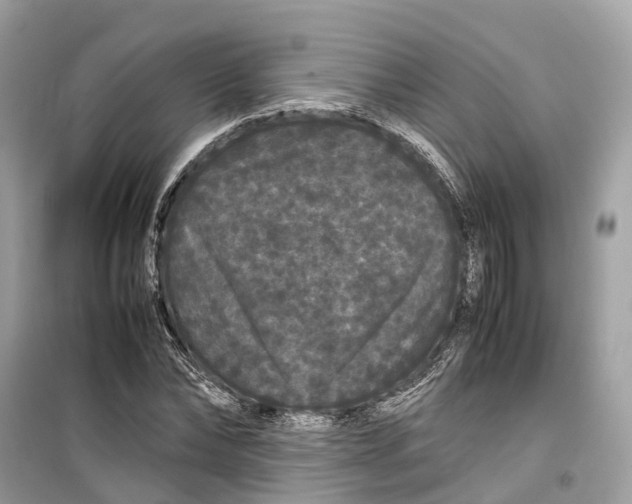 X0000099310878200805231401