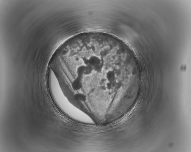 X0000099310879200805231401