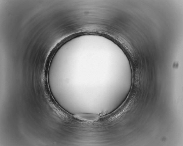 X0000099310880200805231401