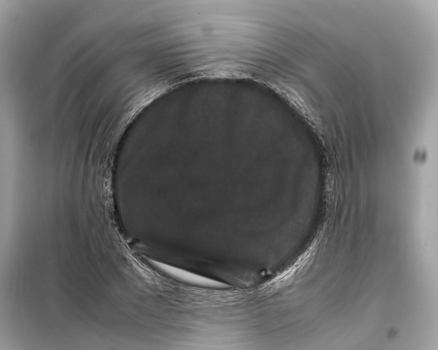 X0000099310881200805231401