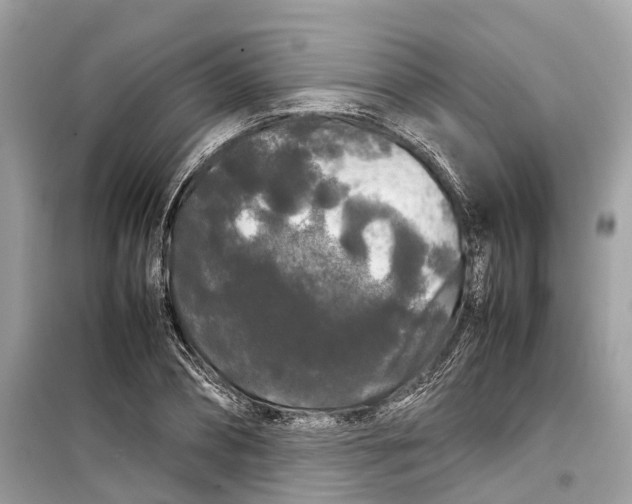 X0000099310882200805231401