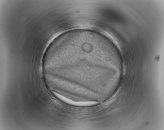 X0000099310883200805231401