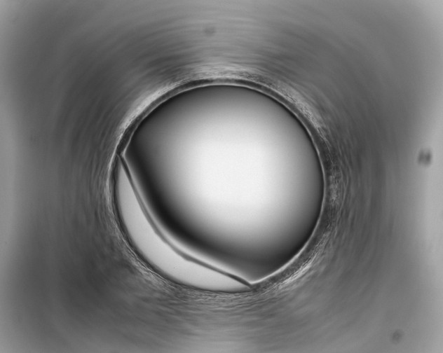 X0000099310885200805231401