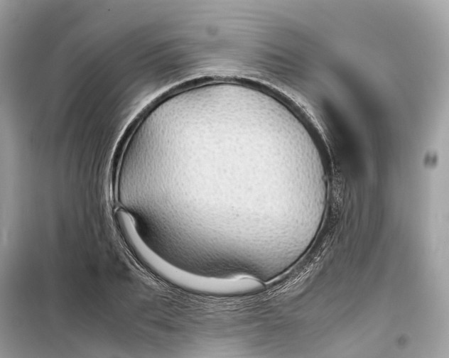 X0000099310887200805231401