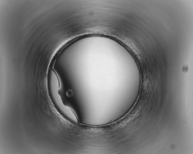 X0000099310888200805231401