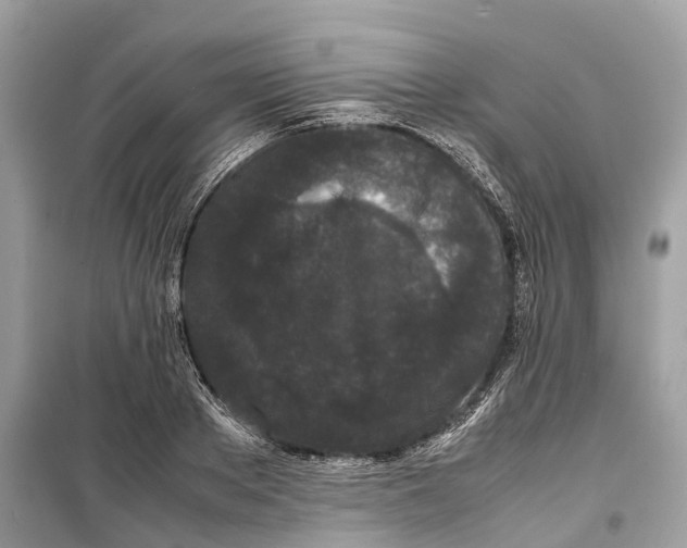 X0000099310889200805231401