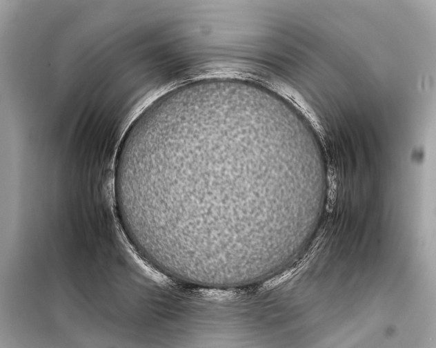 X0000099310890200805231401