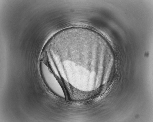 X0000099310891200805231401