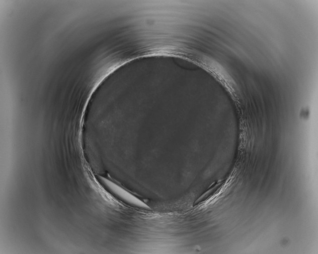 X0000099310892200805231401