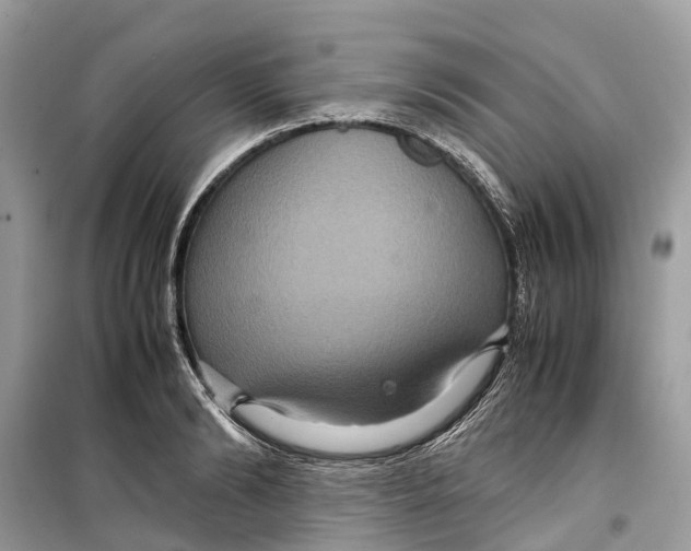 X0000099310894200805231401