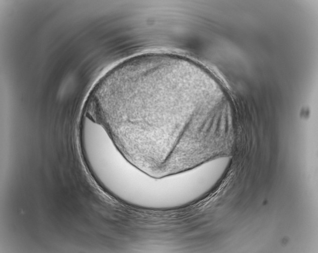 X0000099310895200805231401