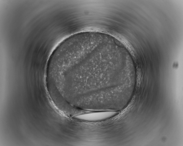 X0000099310896200805231401