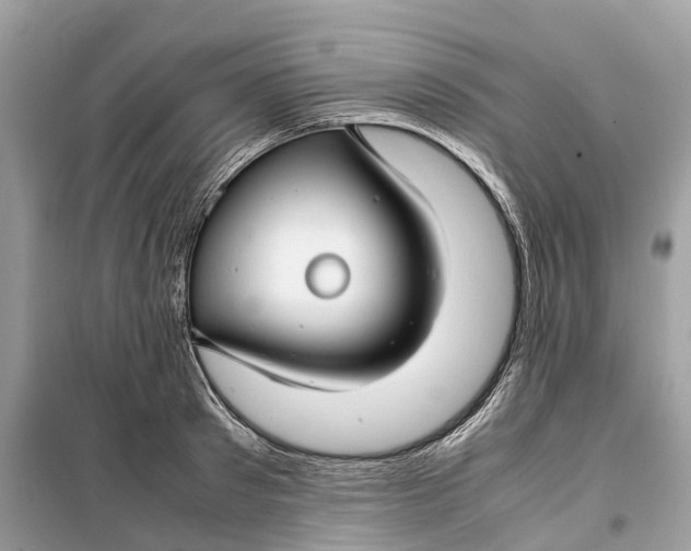 X0000099310897200805231401