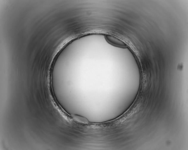 X0000099310898200805231401