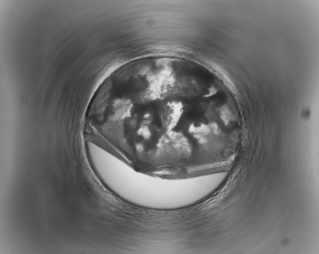 X0000099310899200805231401