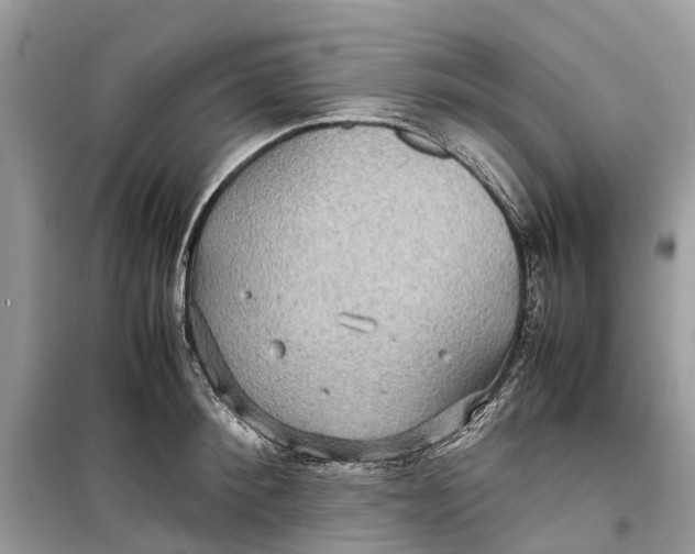 X0000099310900200805231401