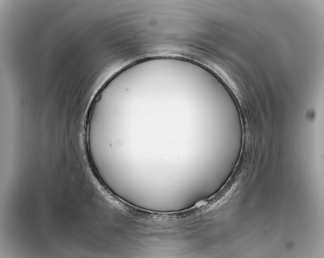 X0000099310901200805231401