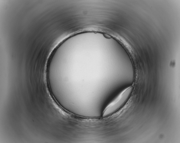 X0000099310902200805231401