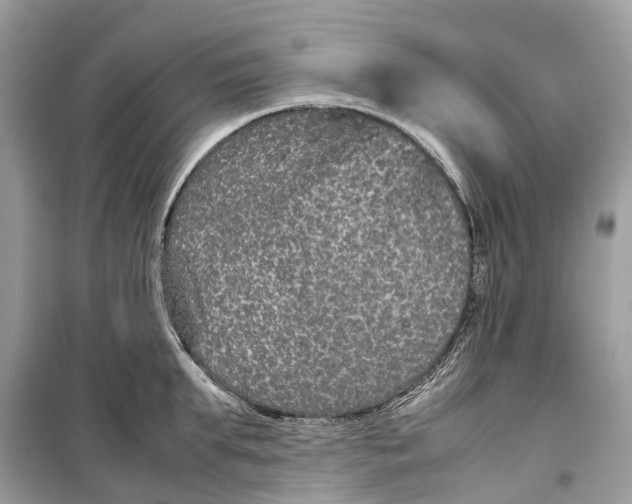 X0000099310903200805231401