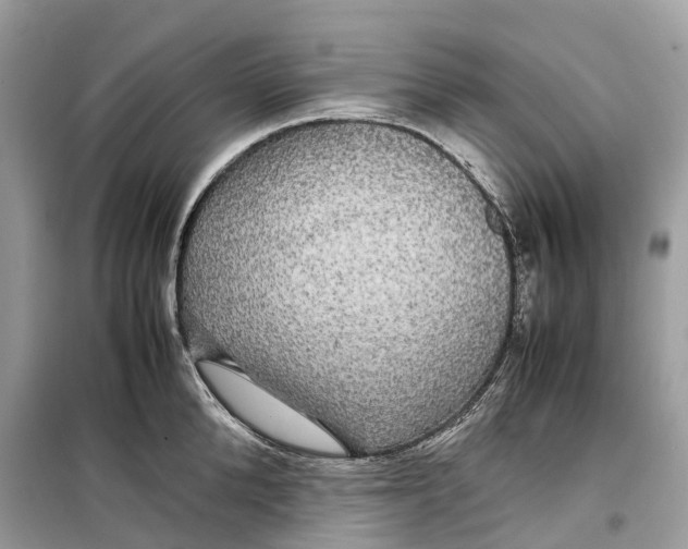 X0000099310904200805231400