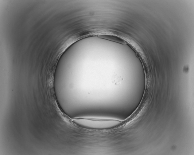 X0000099310905200805231400