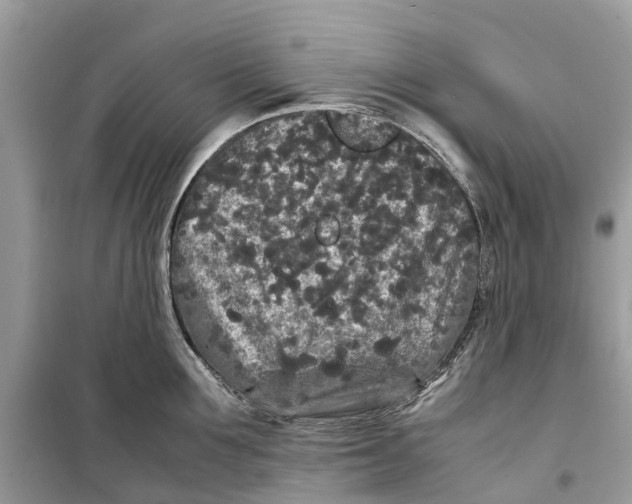 X0000099310907200805231400