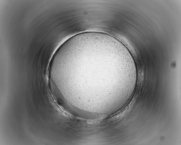 X0000099310908200805231400