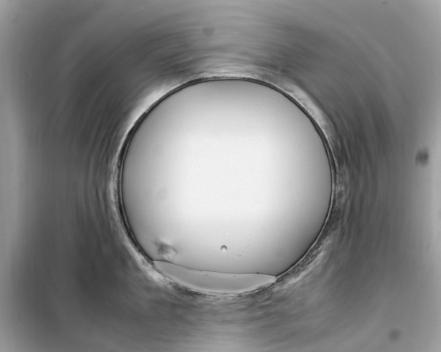 X0000099310909200805231400