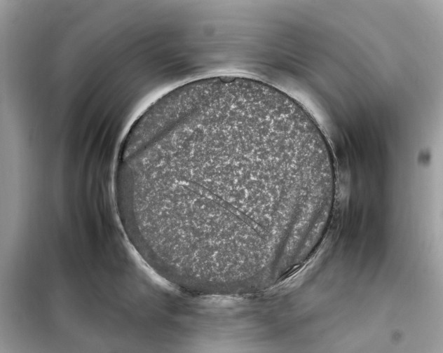 X0000099310910200805231400