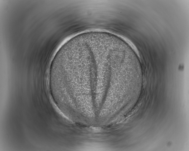 X0000099310911200805231400