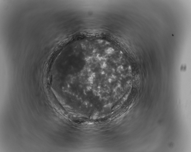 X0000099310913200805231400