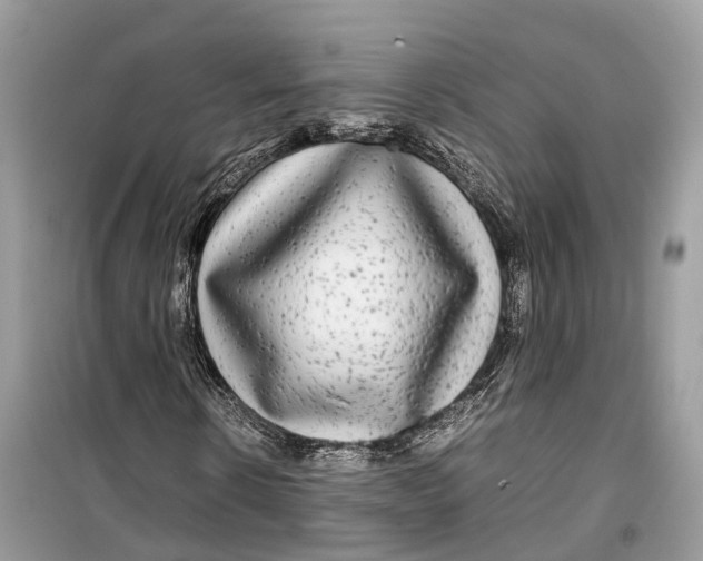 X0000099310914200805231400