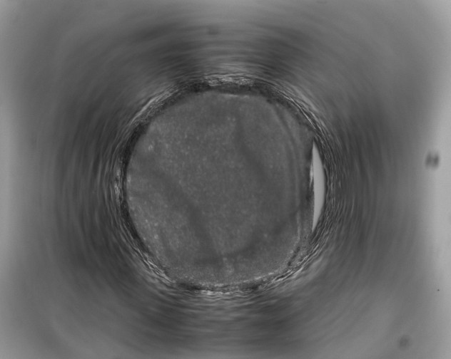 X0000099310915200805231400