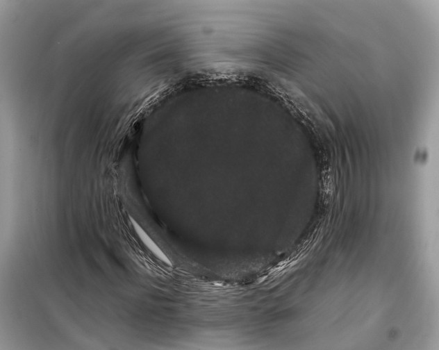 X0000099310916200805231400