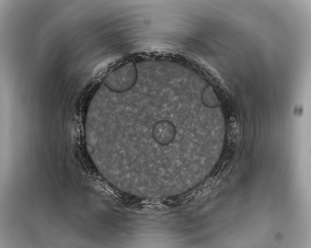 X0000099310918200805231400